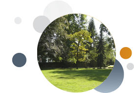 Kristen von Reischach - Yoga im Schloss - Riet